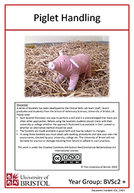Clinical skills instruction booklet cover page, piglet handling